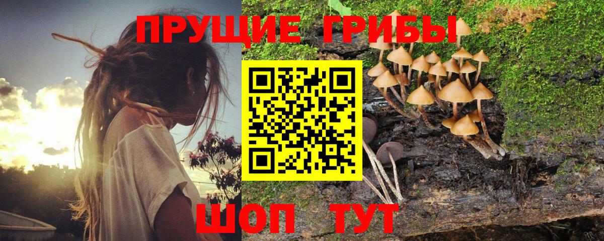 Псилоцибиновые грибы Magic Shrooms  Вход с VPN  Галлюциногенные грибы MAGIC MUSHROOMS  дарнет шоп  Грозный 