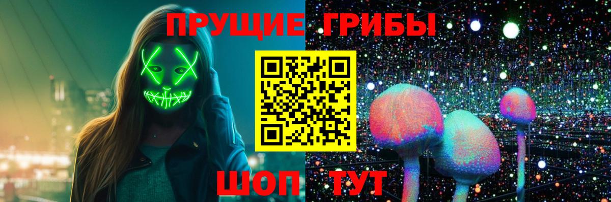 Бошки Шишки  Вход с VPN  Грозный  ГАШ  МЕФ  